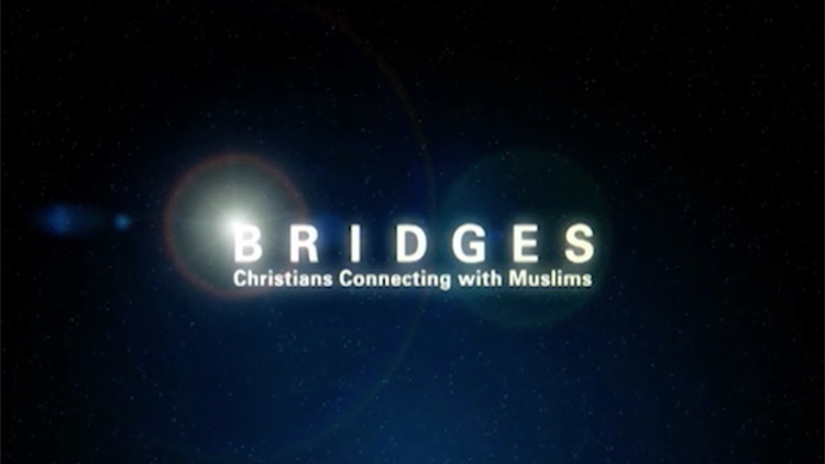 Bridges Study screenshot-4