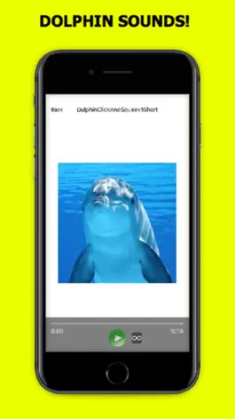 Game screenshot Dolphin Sound Effect hack