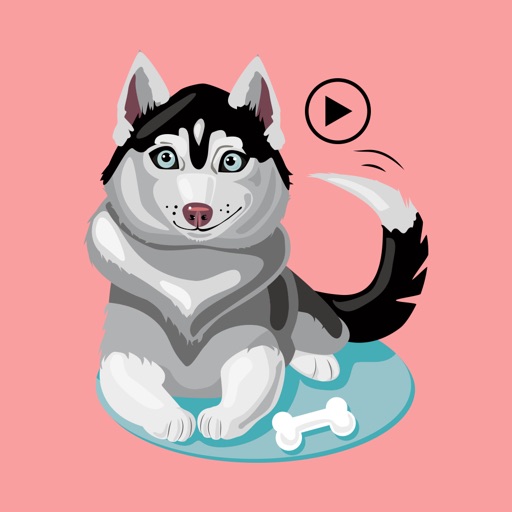 Cute Puppy Animated by Rajneesh Mishra
