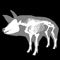 Visualize all the systems of a pig in 3D, its nomenclature, structures and placement