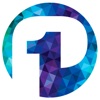P1 Finance for iPad