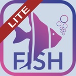 Fish Bait Lure Lite Quiz 2020