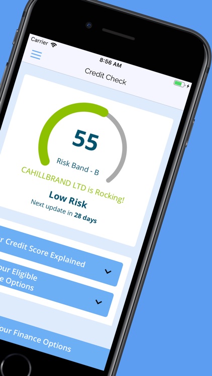 ThinkApp: Company Credit Score