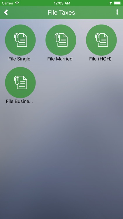 AccountingWise screenshot-3