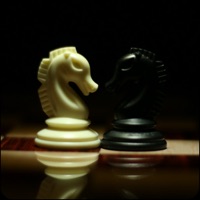 Chess -Real Master pour PC