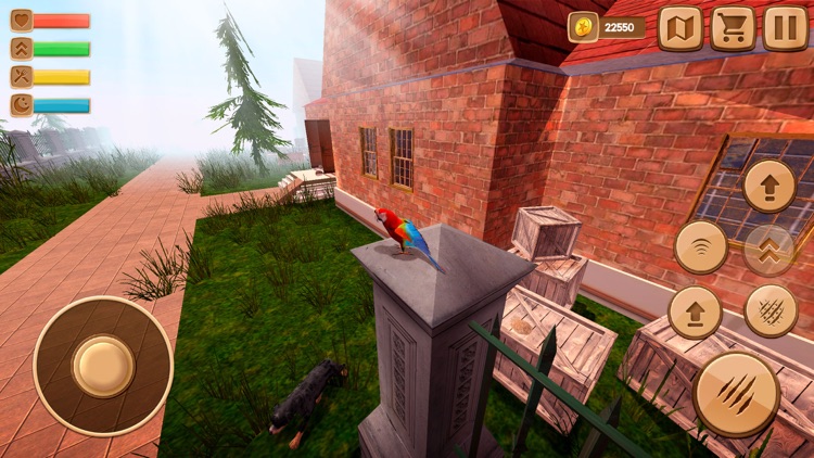 Home Pet Parrot Simulator