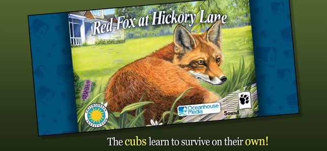 Red Fox at Hickory Lane(圖1)-速報App