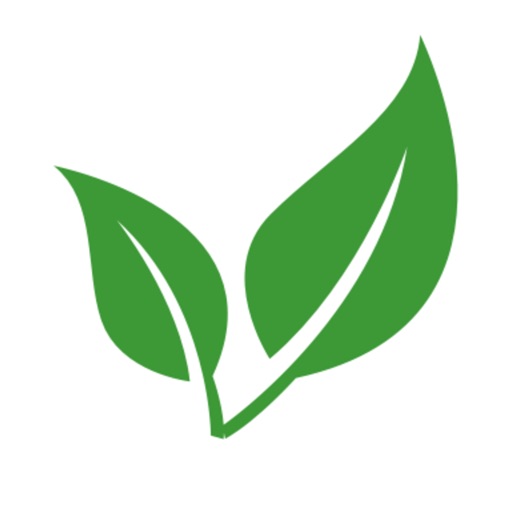 Remedy: Chronic Pain Relief