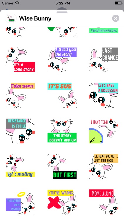 Wise Bunny