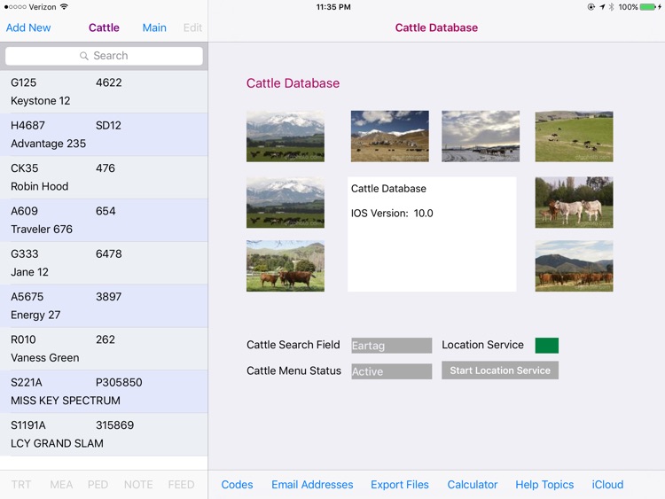 Cattle Database