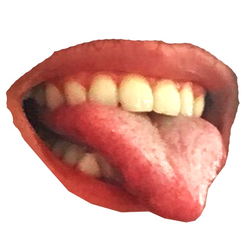 Fun Mouth App for iPhone Free Download Fun Mouth for iPad & iPhone at