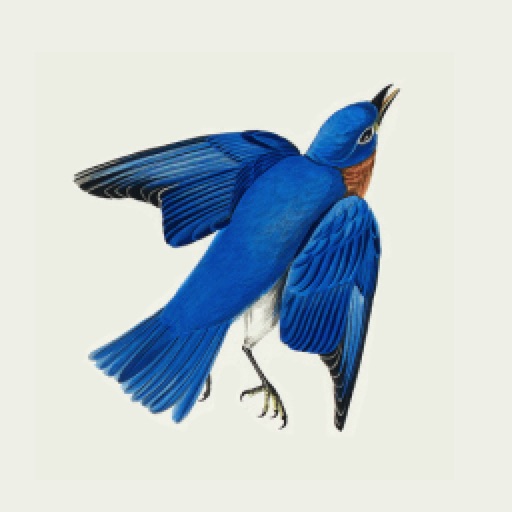 NJAPP Bluebird Log