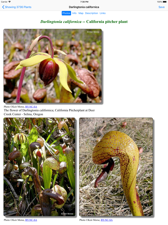 Oregon Wildflower Search screenshot 4