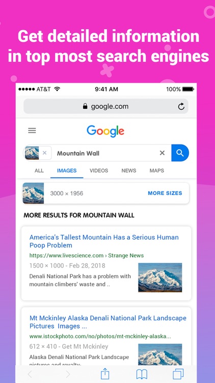 Image Recognition and Searcher screenshot-3
