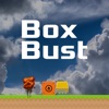 Box Bust