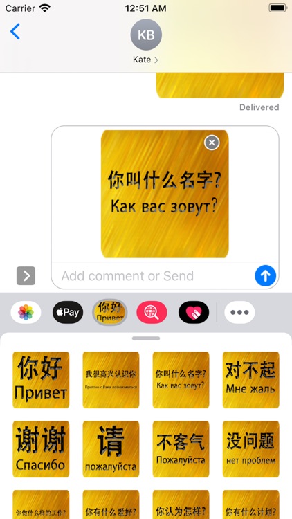 Chinese Russian Sticker screenshot-4