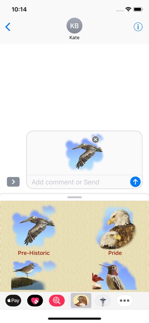 Birds for Words for iMessage