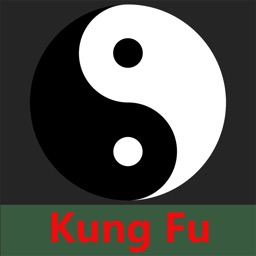 Kung Fu Challenge