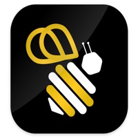 Bee The Move pour PC
