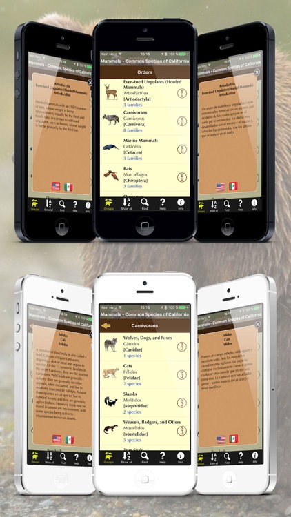 California Mammals screenshot-3