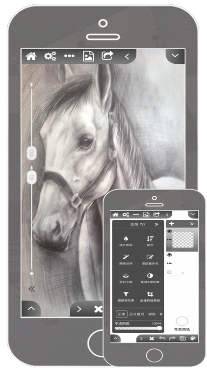 Paintwork Pro