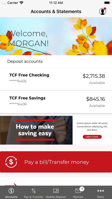 Tcf digital banking app