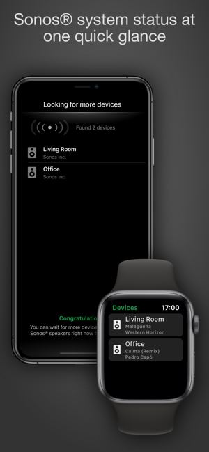 Remote for Sonos