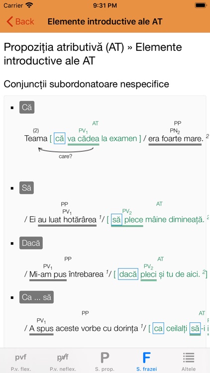 Română10 Gramatică screenshot-4