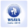 WSAVAIndia2019