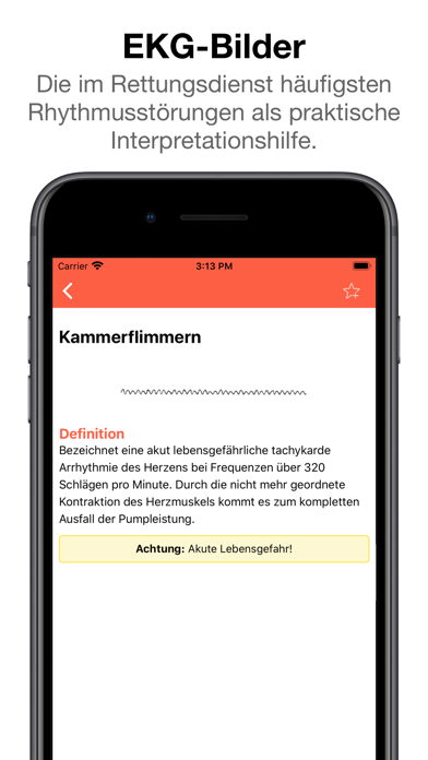 Rettungsdienst App app screenshot 4 by Manuel Sedlmeier - appdatabase.net