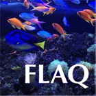 Florida Aquarium Guide