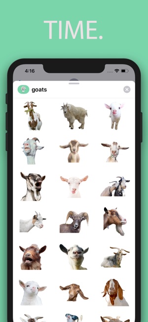 Cute Goats(圖3)-速報App