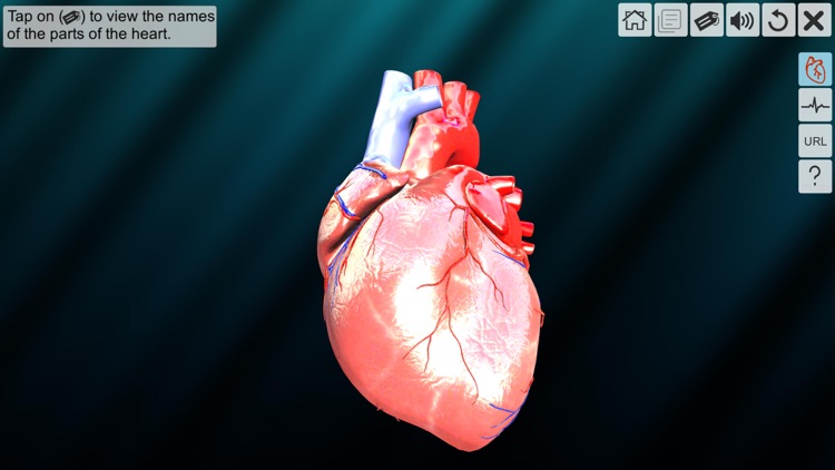 AR Human heart – A glimpse screenshot-6