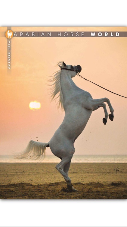 Arabian Horse World Magazine
