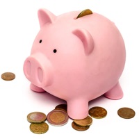 Money Flow - Save Your Money pour PC