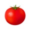 TomatoDelivery is dedicated to the delivery service of TomatoFoodnet