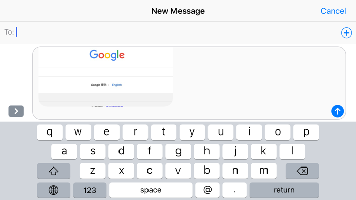 BrowserX6 - multiple browser