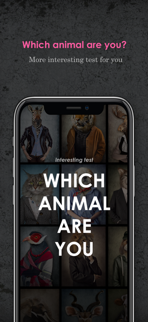 Animal, Hidden Power, Dog Test(圖1)-速報App