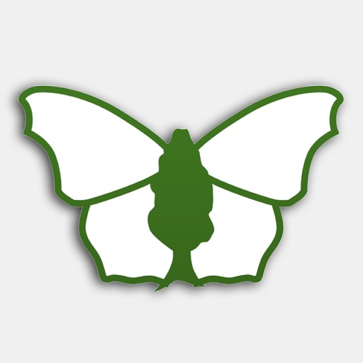 iRecord Butterflies