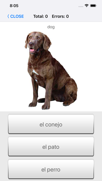 Learn Spanish words with ST screenshot 4