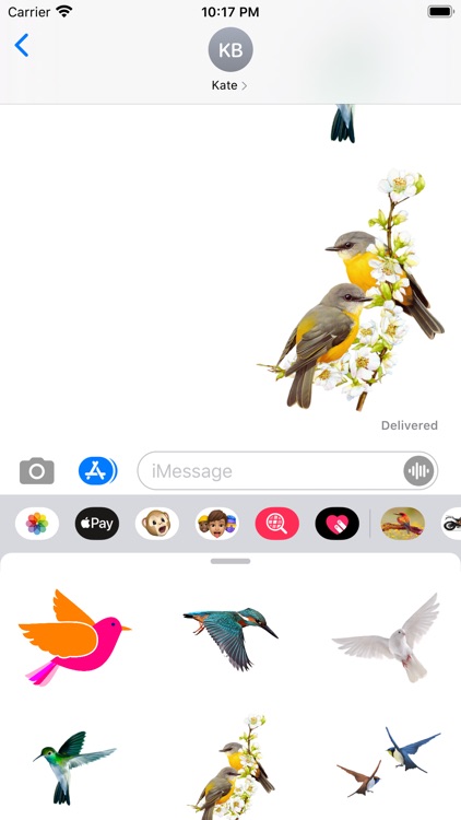 Amazing Birds Gallery screenshot-3