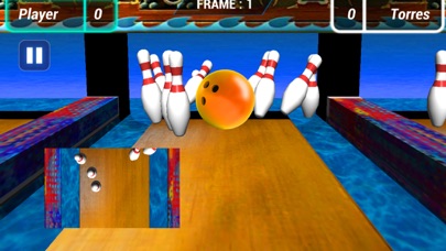 Real 3D Bowling Challenge screenshot 3