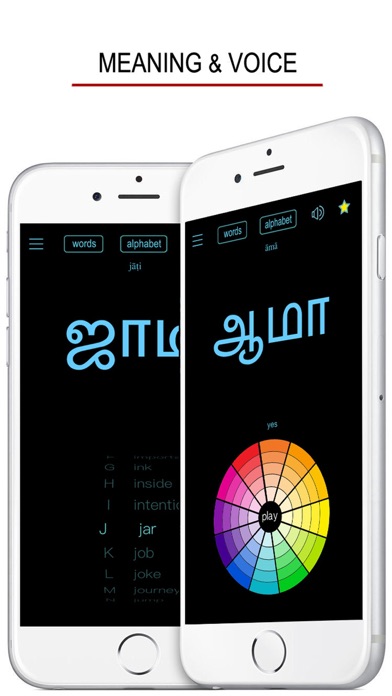 Tamil Words & Writing screenshot 3