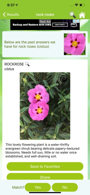 Garden Answers Plant Id(圖3)-速報App