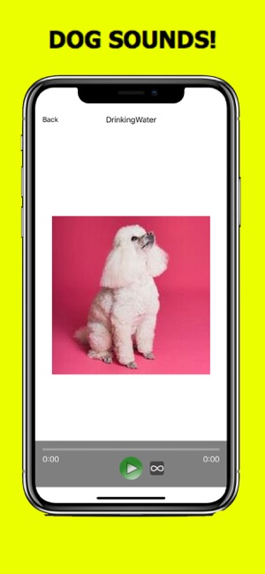 Poodle Sounds & Dog Sounds!(圖3)-速報App