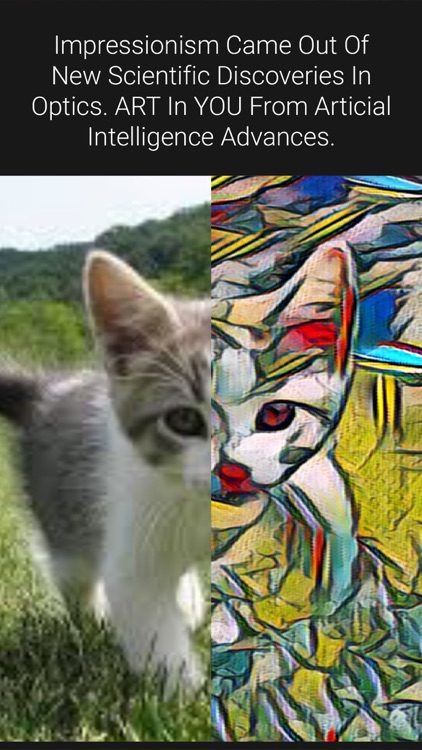Art in You: Artistic Filters screenshot-3