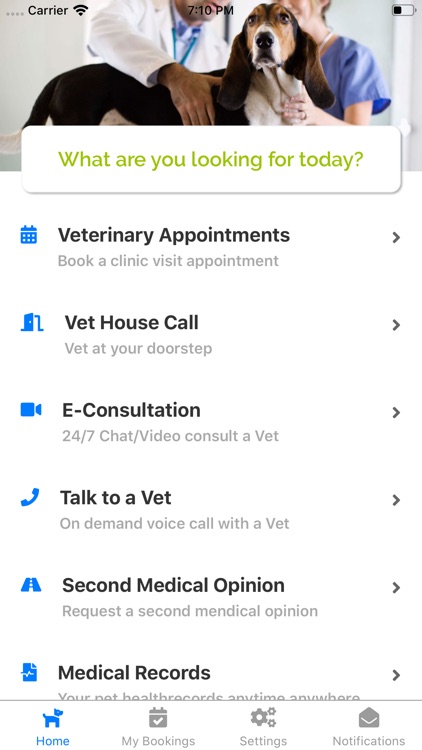 Activ4Pets