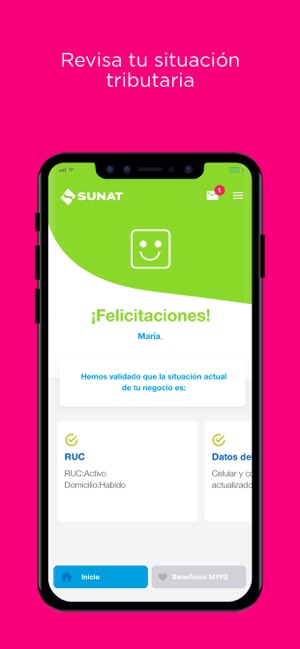 Emprender SUNAT(圖4)-速報App