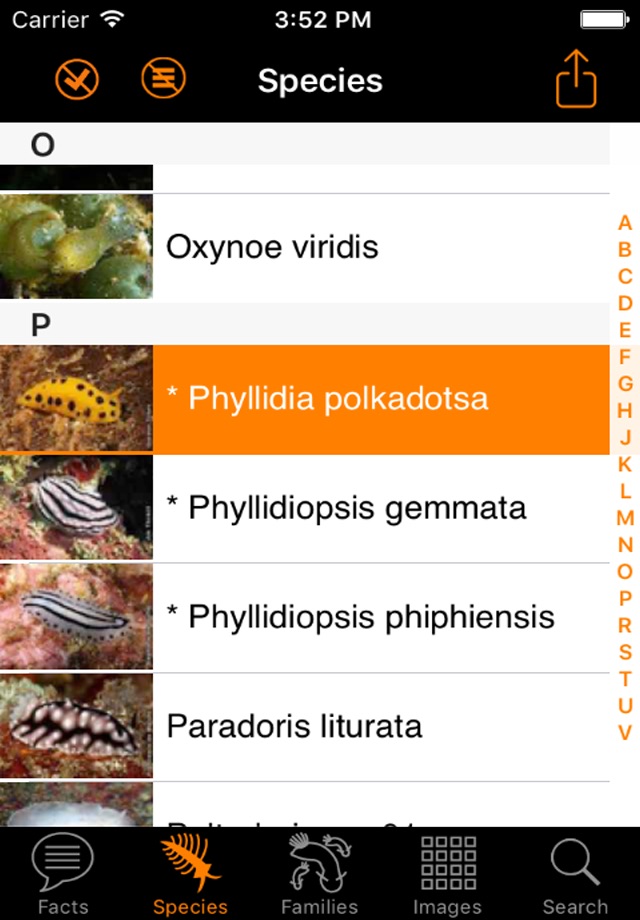 Nudibranch ID Indo Pacific screenshot 3