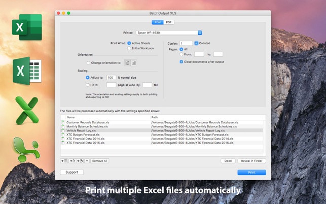 BatchOutput XLS for Excel(圖2)-速報App